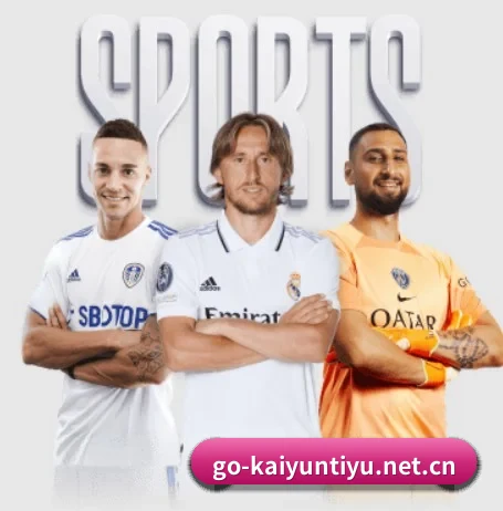 开云体育 APP 界面 - kaiyun